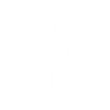 imageF